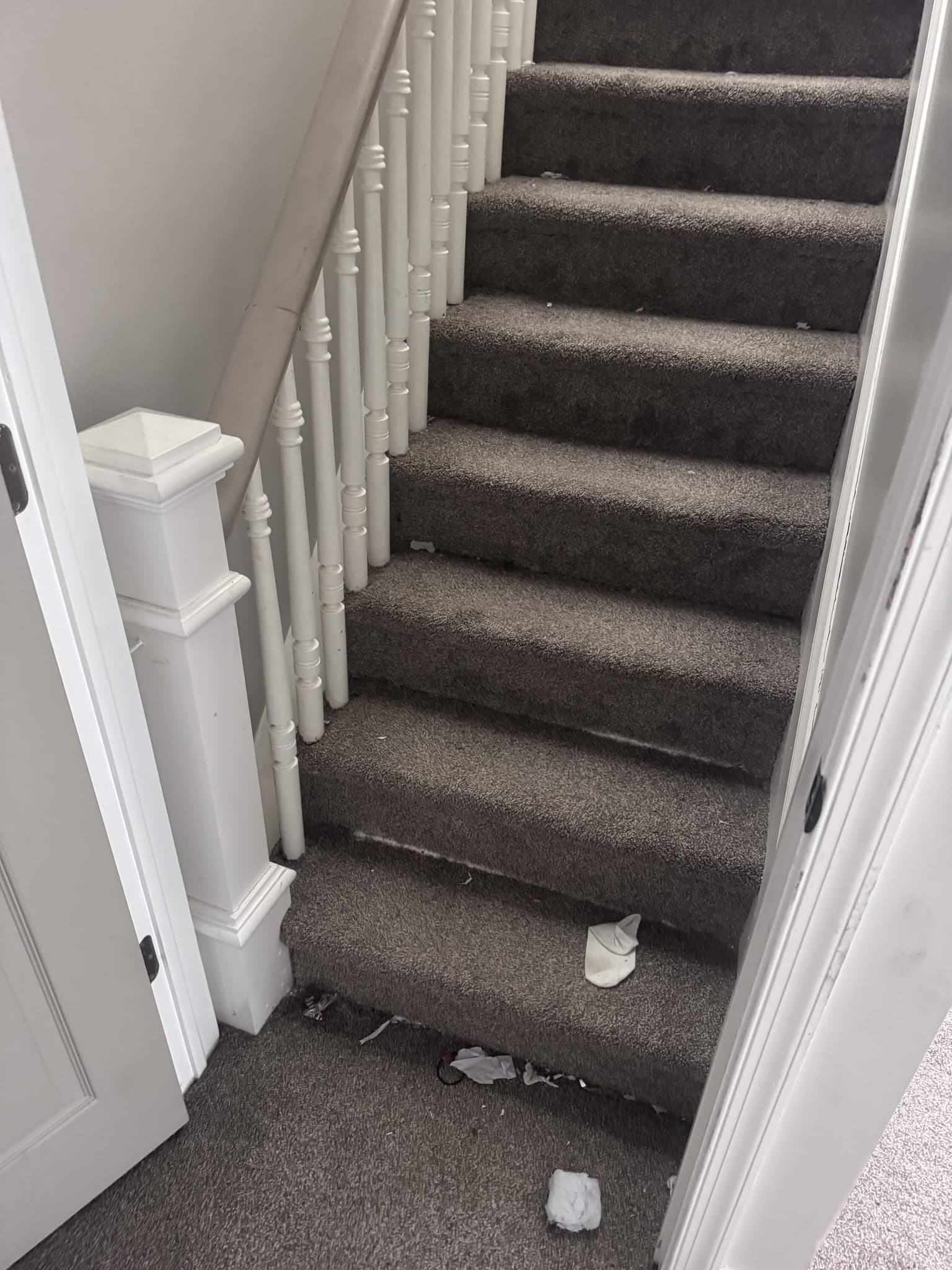 Freshly cleaned carpet in an empty room